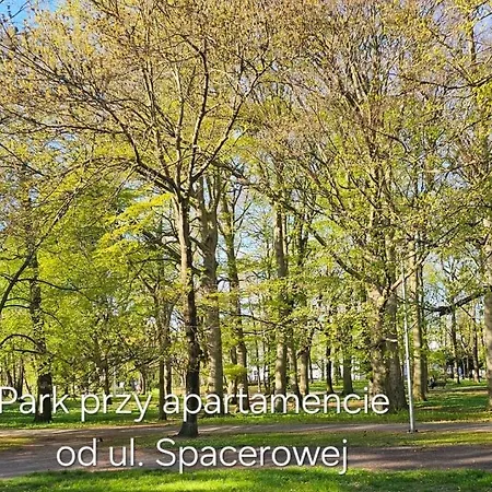 Apartman Z Garazem *