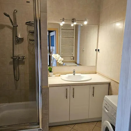 Z Garazem Apartment *