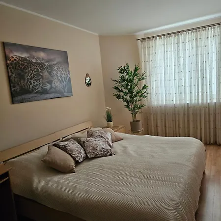 Apartment Z Garazem *