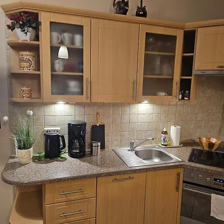 Apartment Z Garazem *
