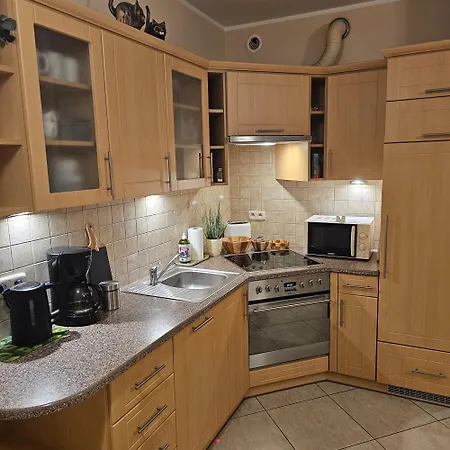 Z Garazem Apartment *