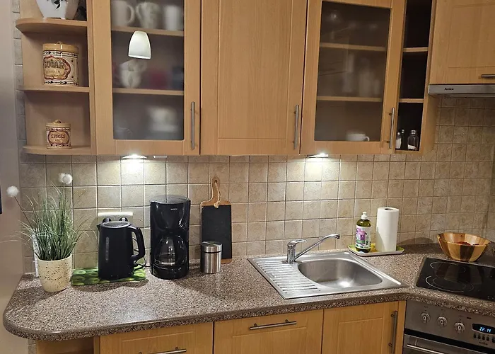 Apartamento Z Garazem *